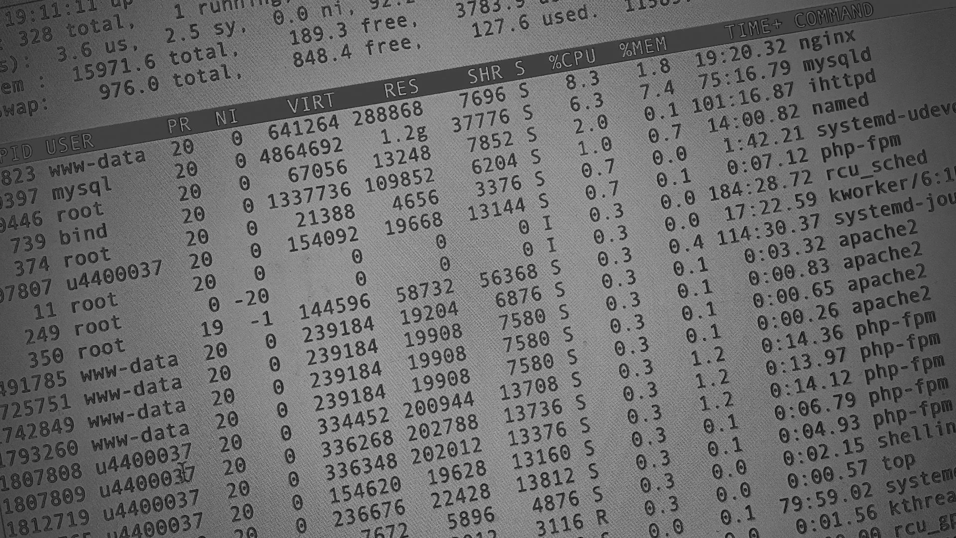 Настройка сервера в Батайске